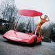 Illustration for article titled A Drop-Dead Gorgeous Abarth for Overcast Days